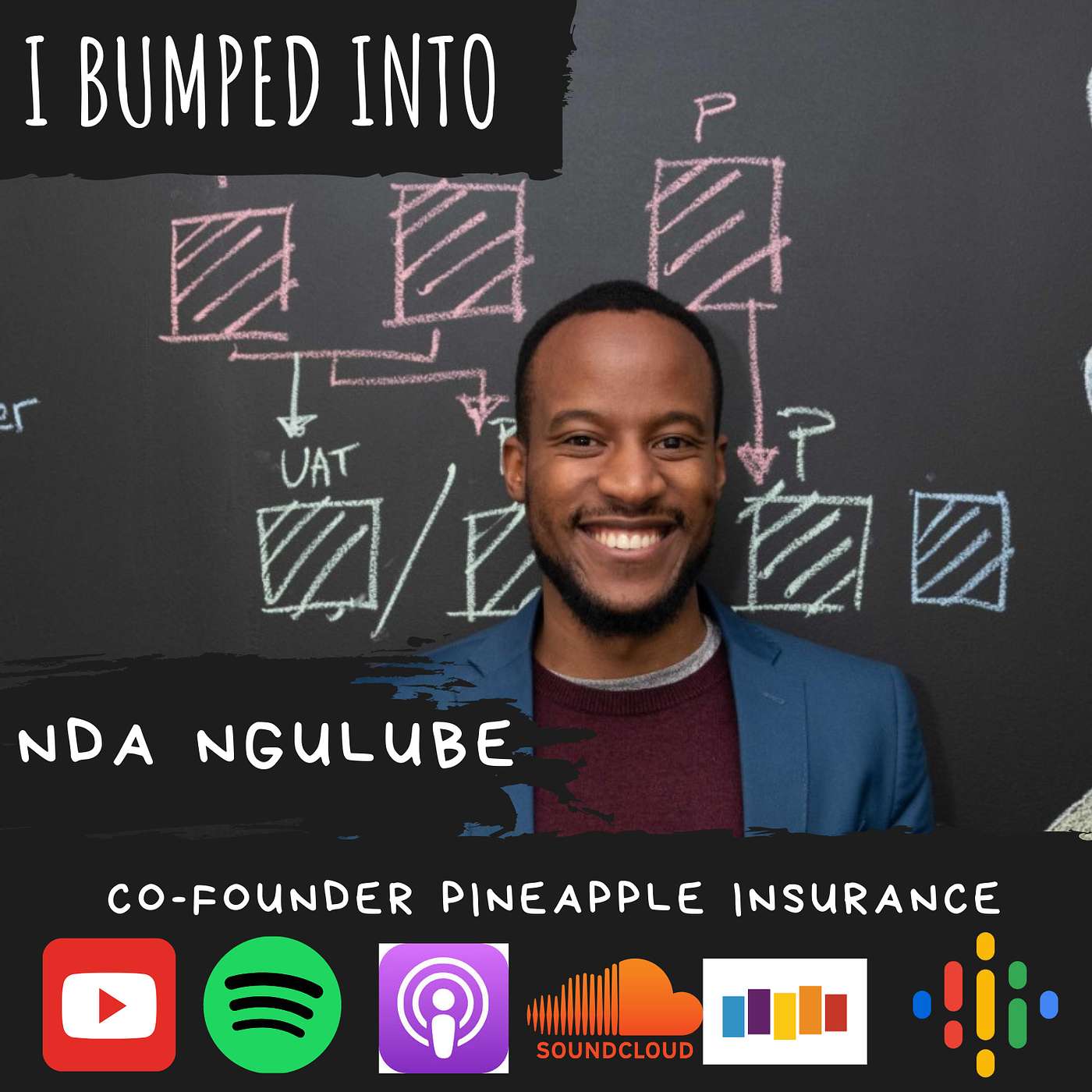 Co-Founding Pineapple Insurance, Getting your first customers, MVP & More| Nda Ngulube