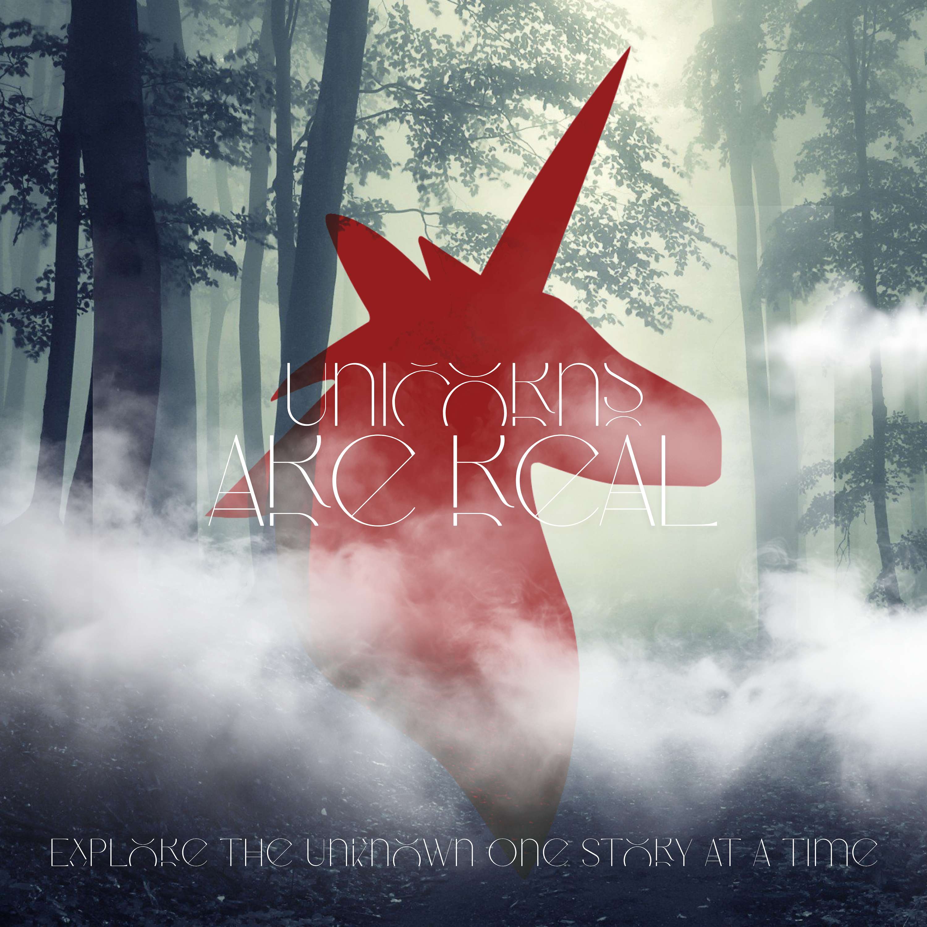 UnicornsRReal13