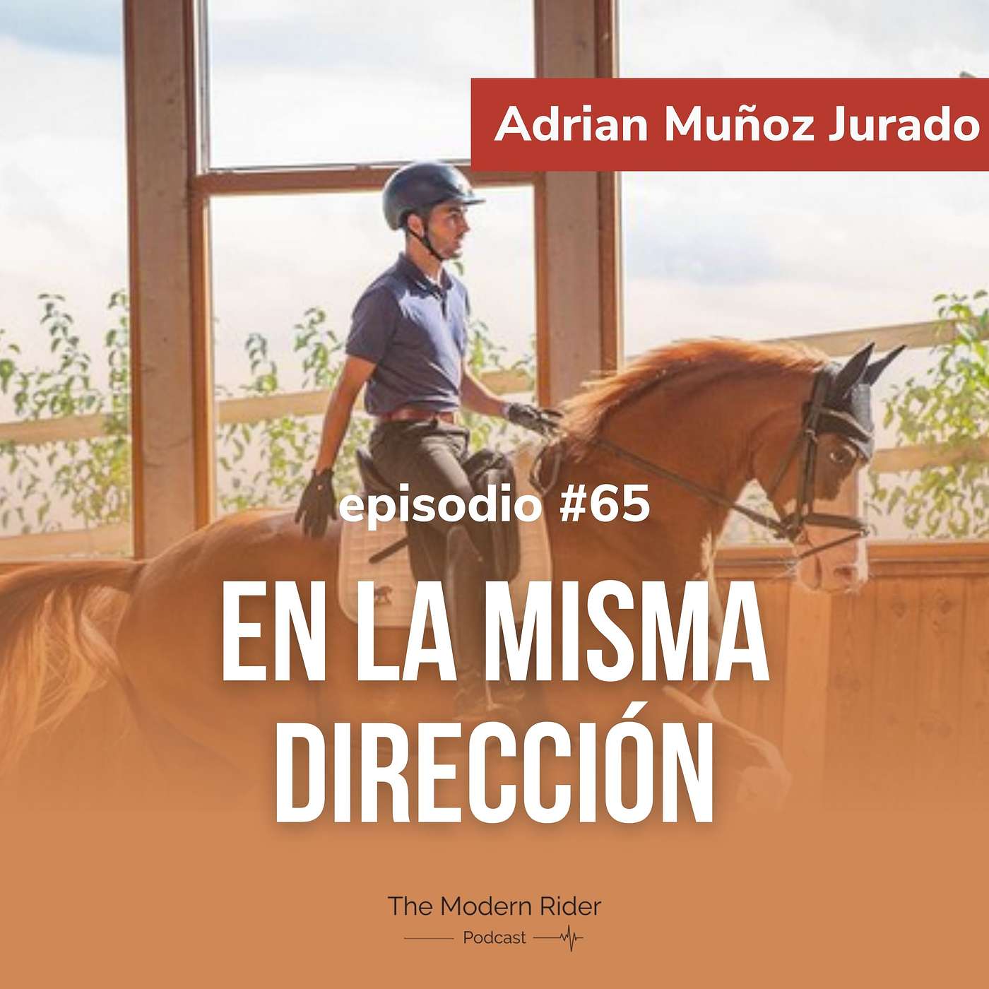 The Modern Rider