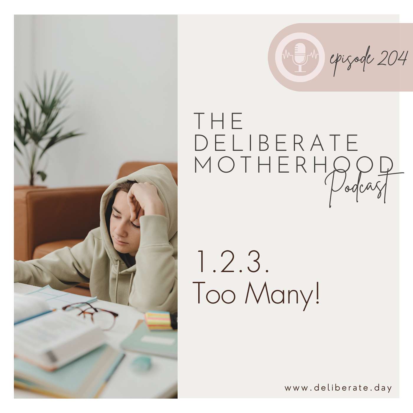 204. 1. 2. 3. Too Many!