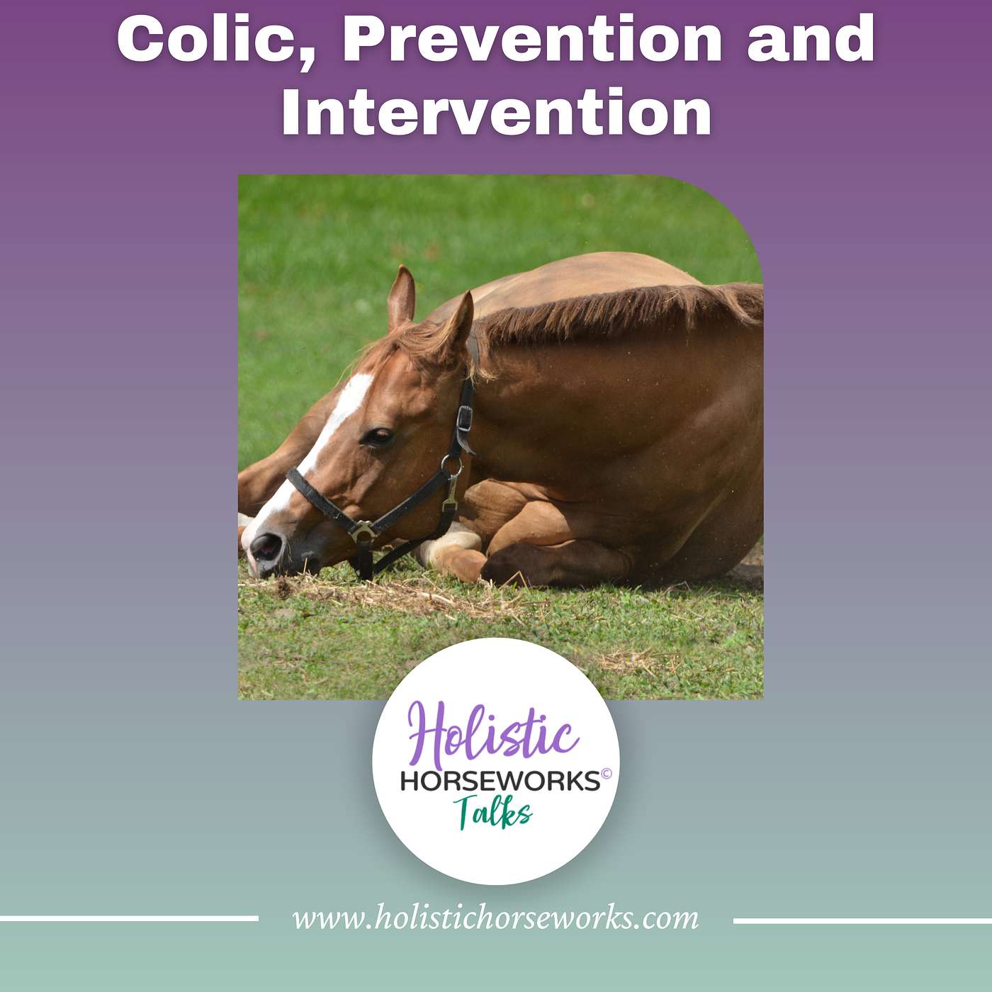 Holistic Horseworks Talks with April Love