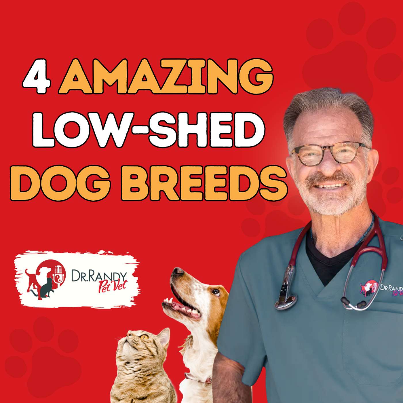 Love Golden Retrievers But Hate Shedding? Try These 4 Breeds