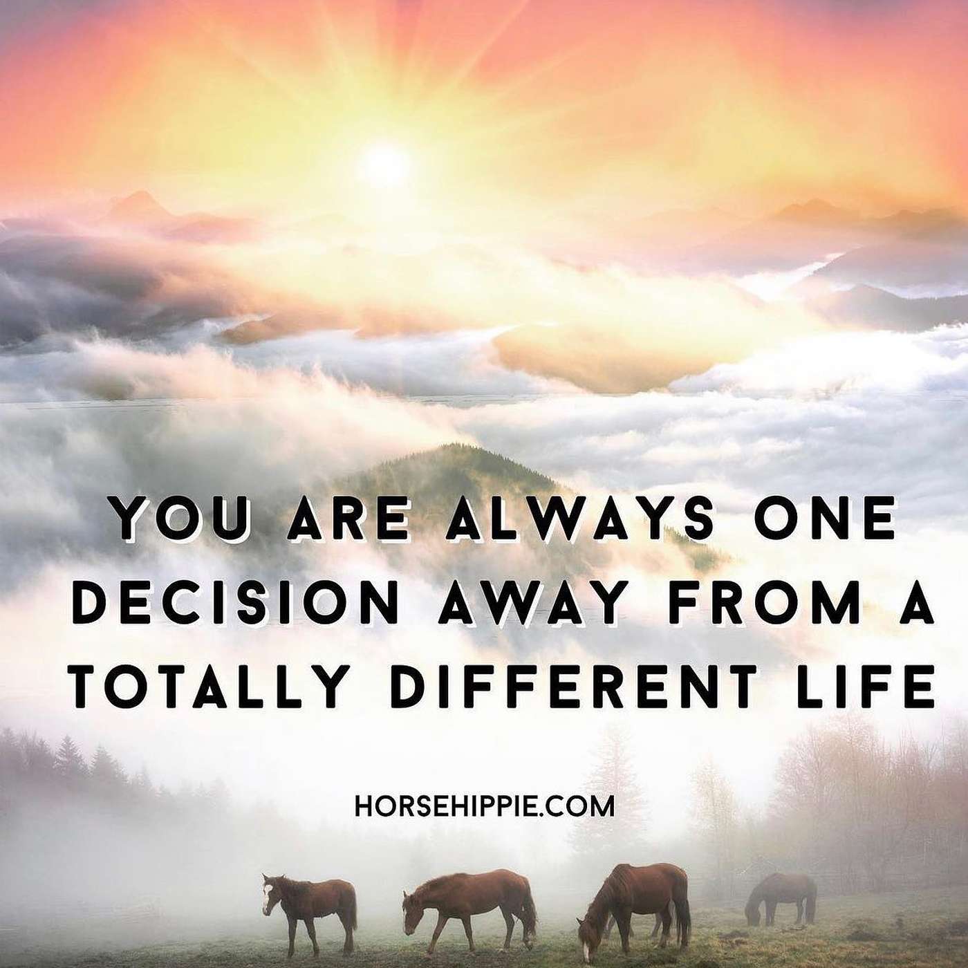 Decisions episode artwork