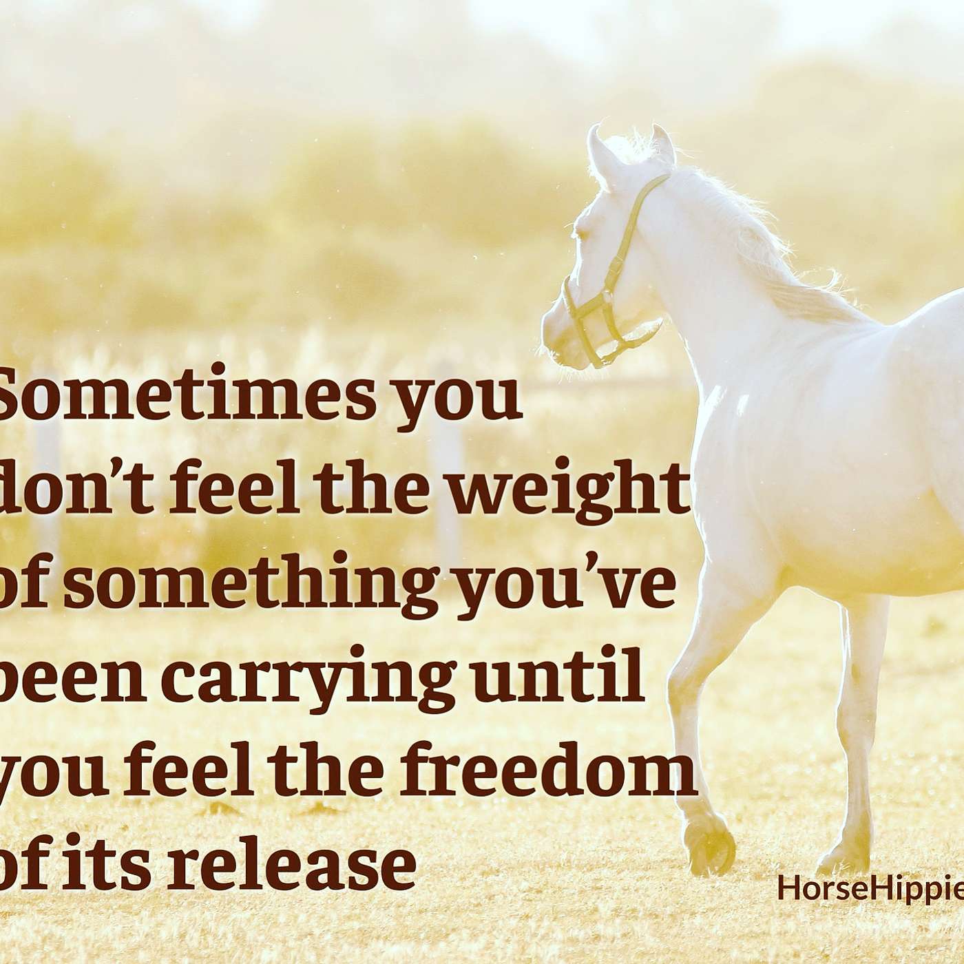 I Will Remove Myself