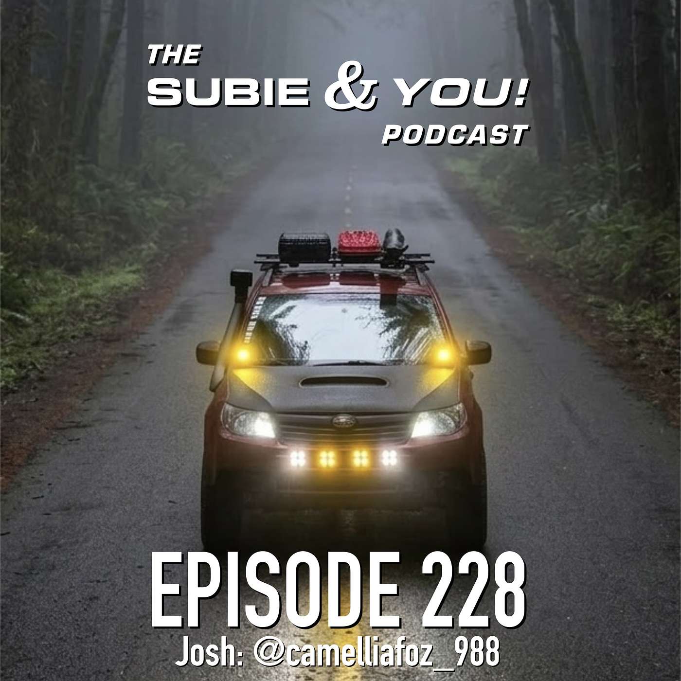 S&YE228 - Camellia Foz episode artwork