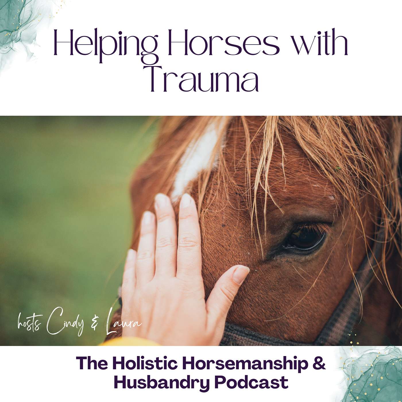 The Holistic Horsemanship and Husbandry Podcast