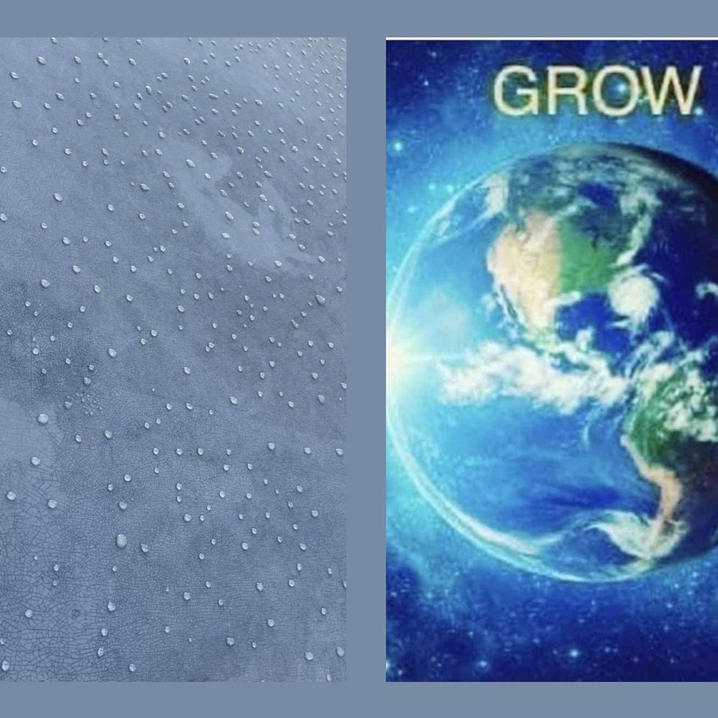 You have been sent to GROW