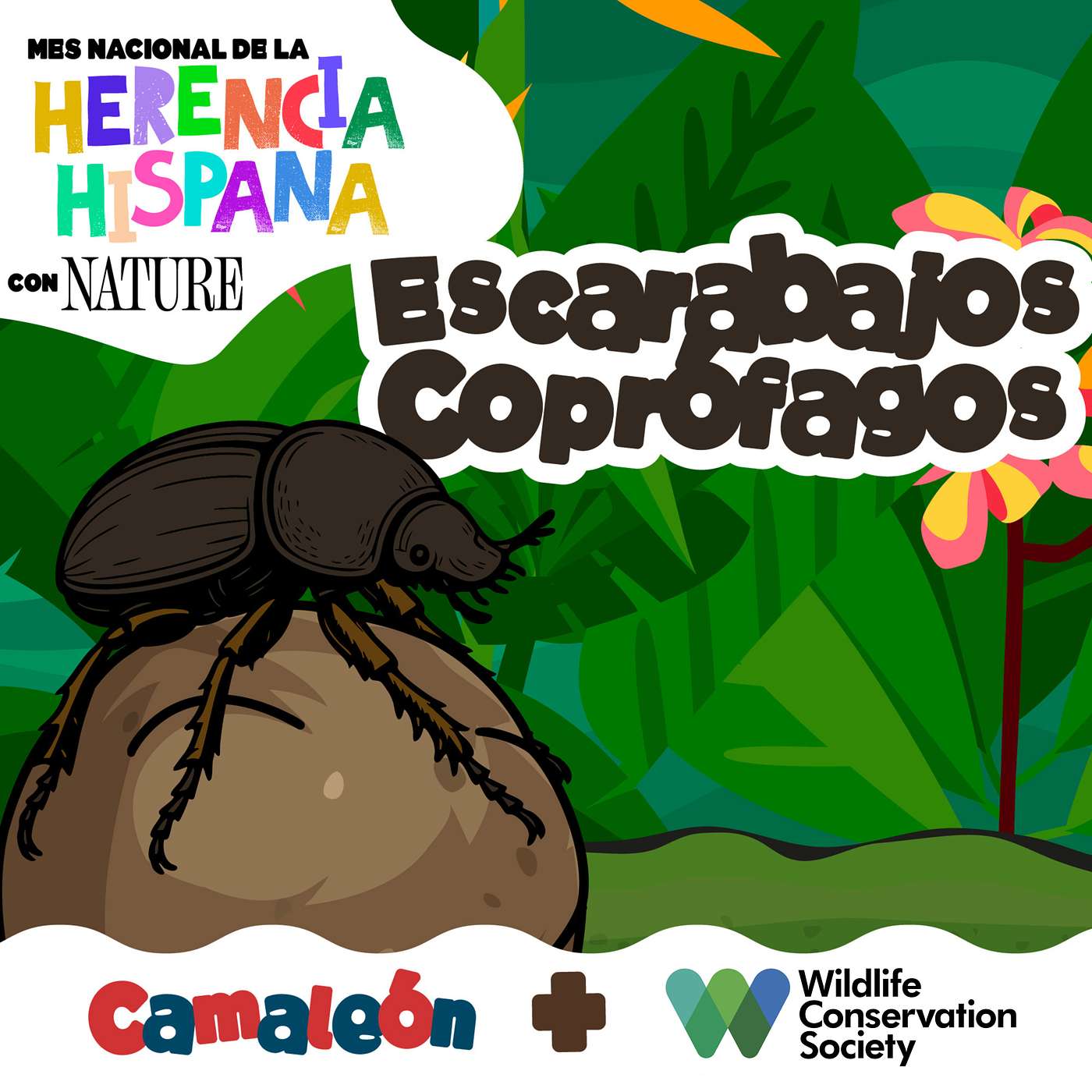 Escarabajo Coprófago: el reciclador del popó episode artwork