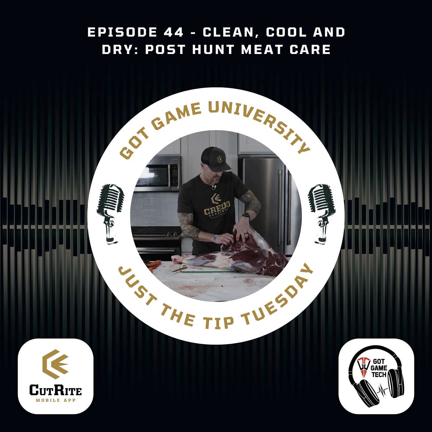 Episode 44 - CLEAN, COOL, and DRY post kill meat care.