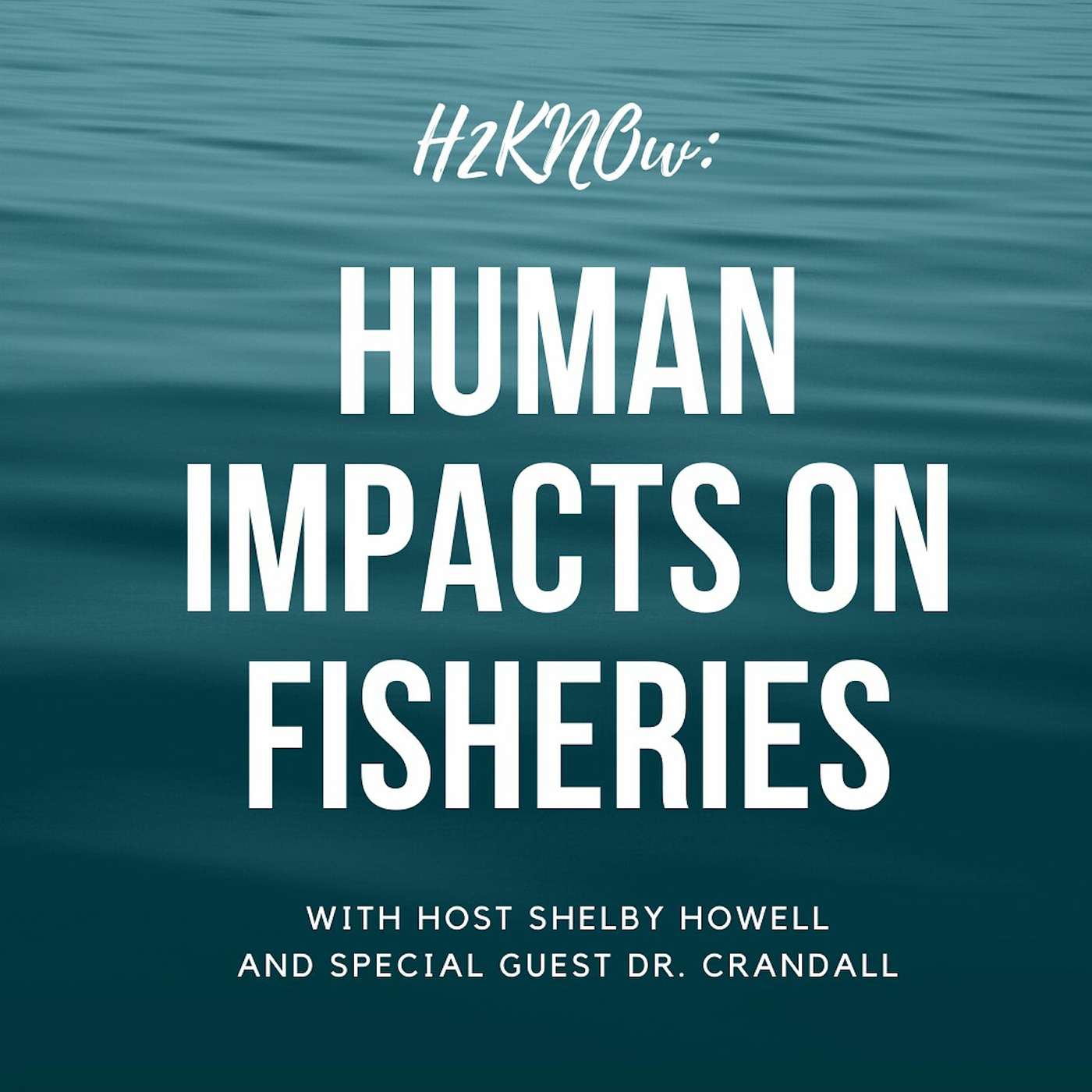 H2Know: Human Impacts on Fisheries episode artwork