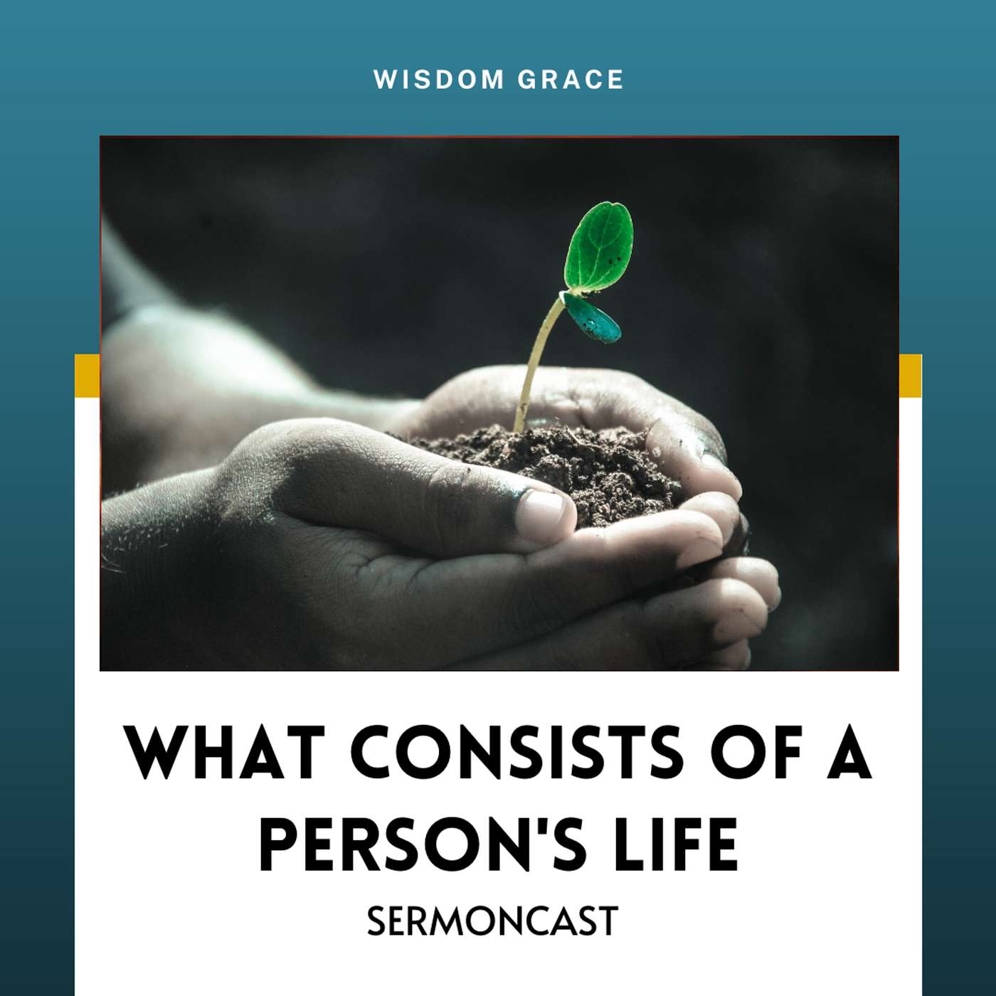 WHAT CONSISTS OF A PERSON'S LIFE?