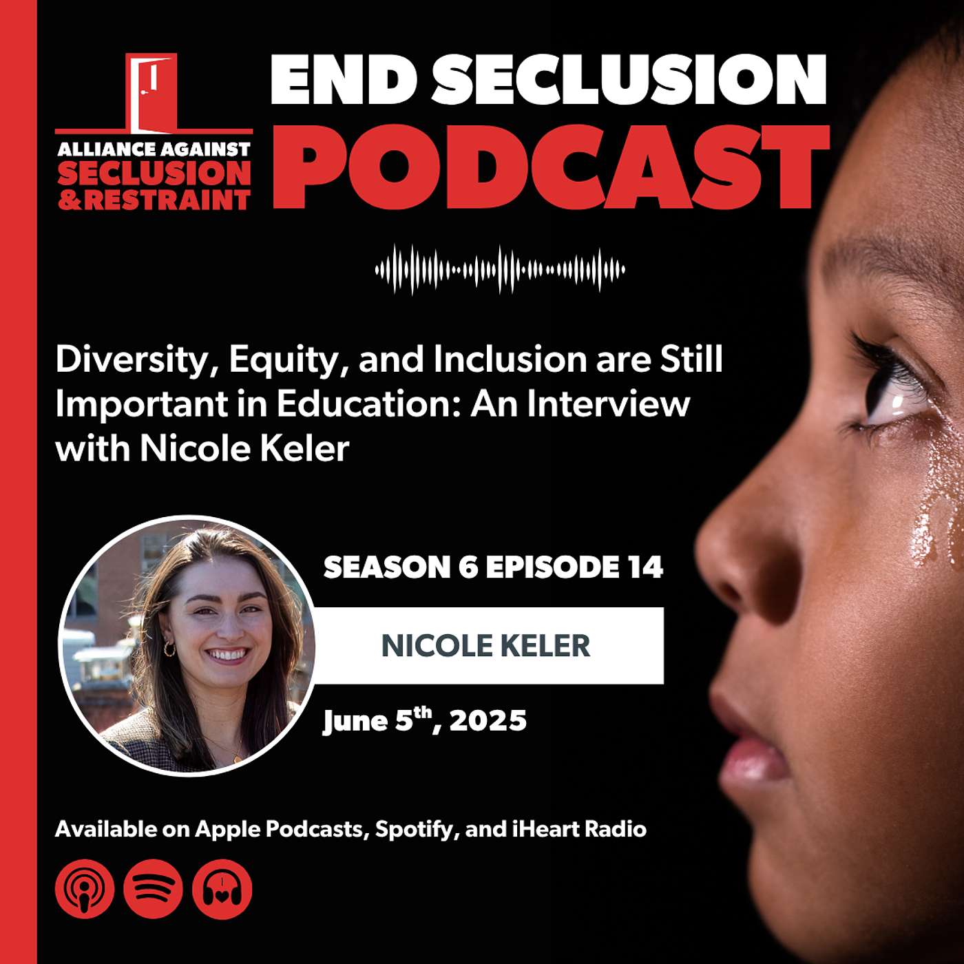 Diversity, Equity, and Inclusion are Still Important in Education: An Interview with Nicole Keler