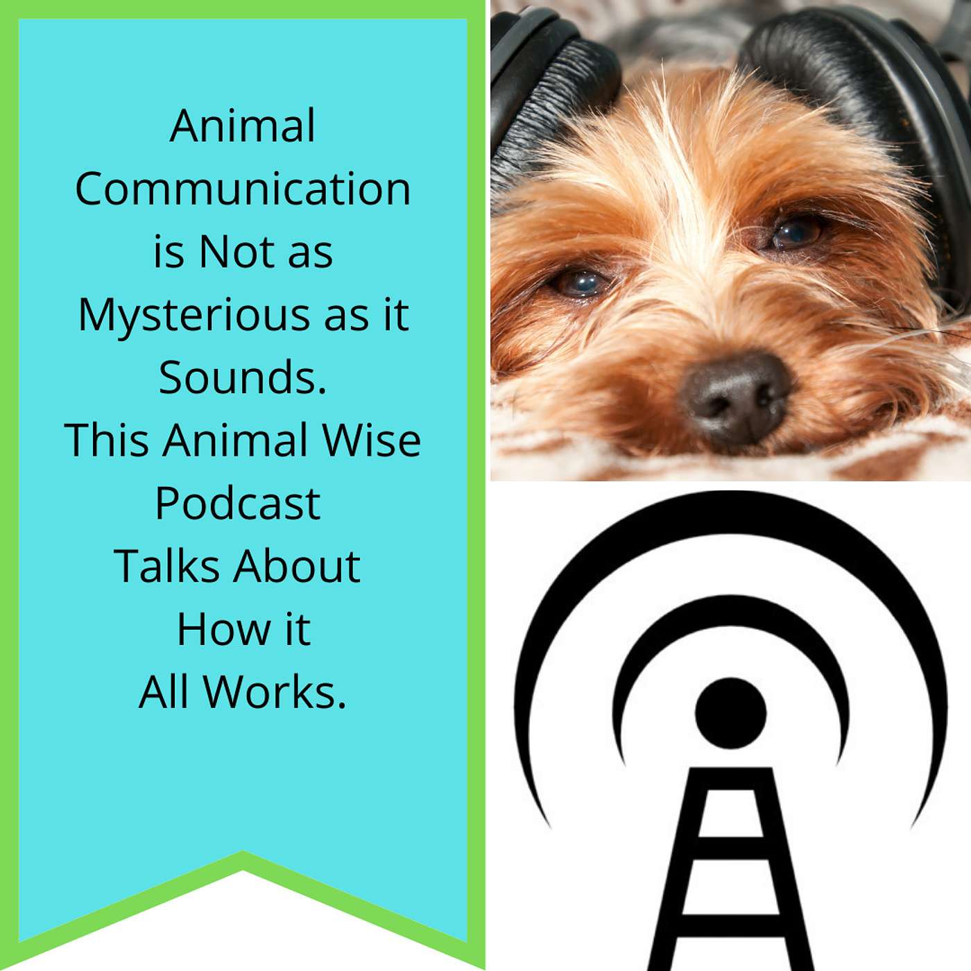 Bonus Episode: How It Works