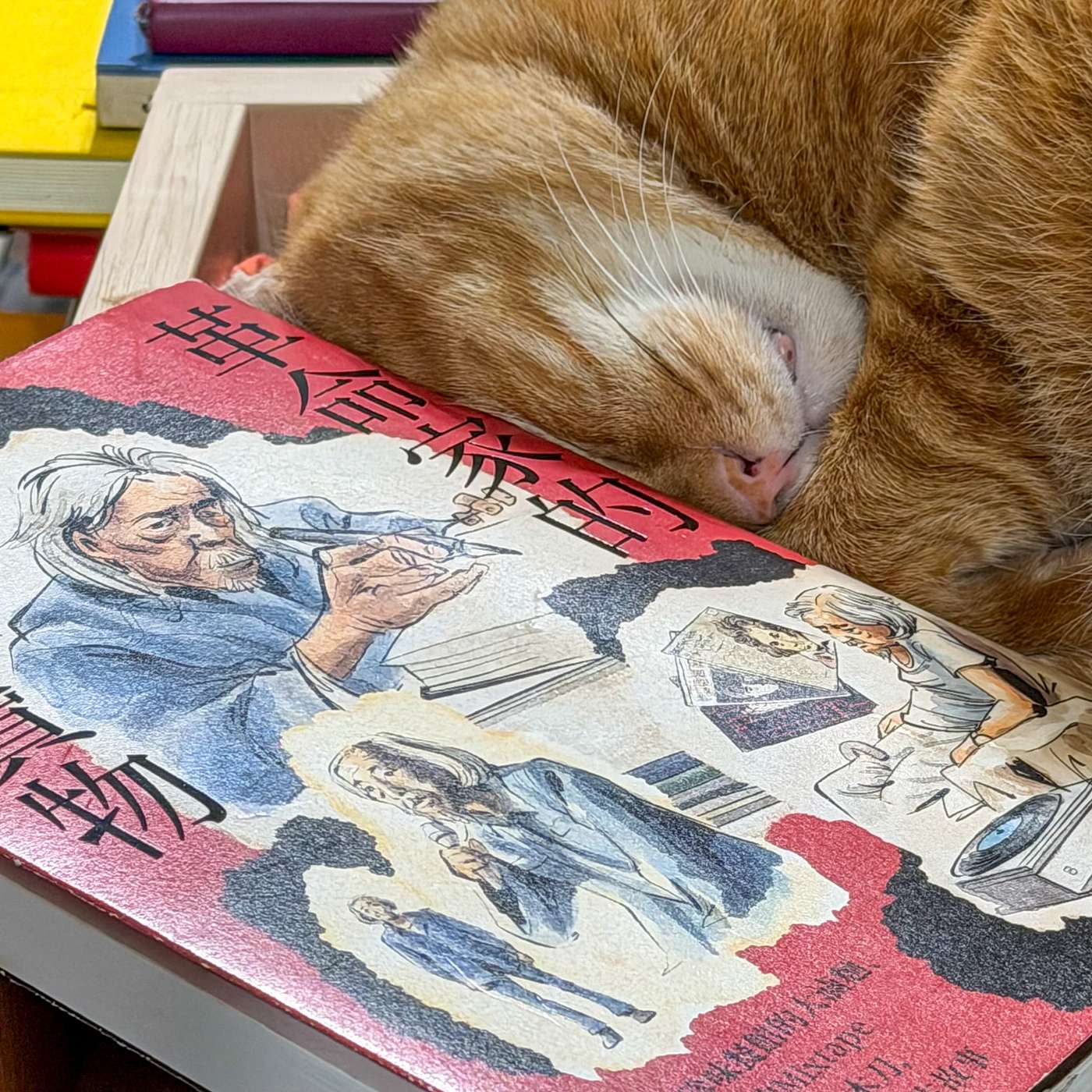 【書中自有黃金鮑EP112】《革命家的生活寶物》：敏紅姐讀詩、打造一台宣傳的戰車