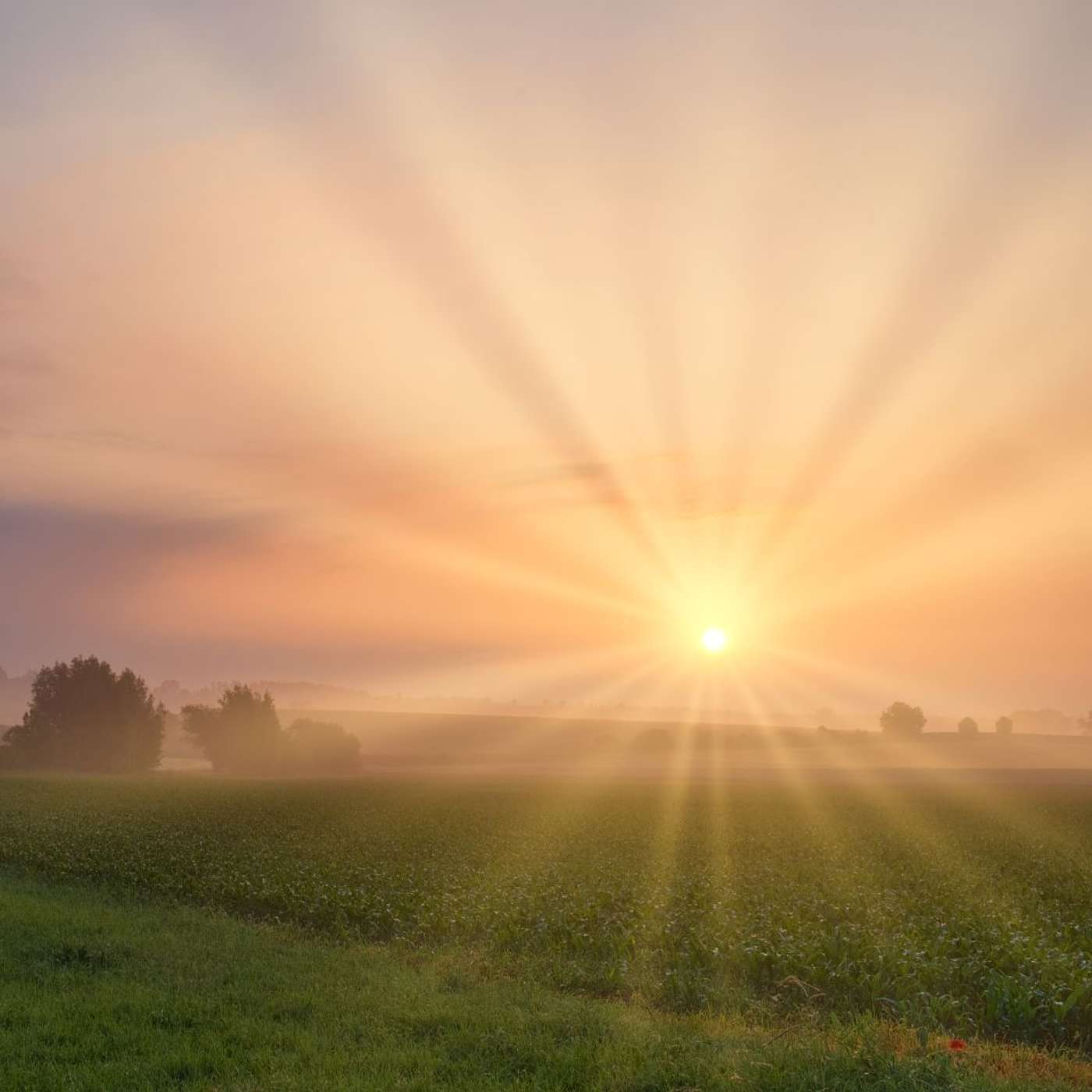 Morning Happiness Meditation: Start Your Day with Joy and Intention