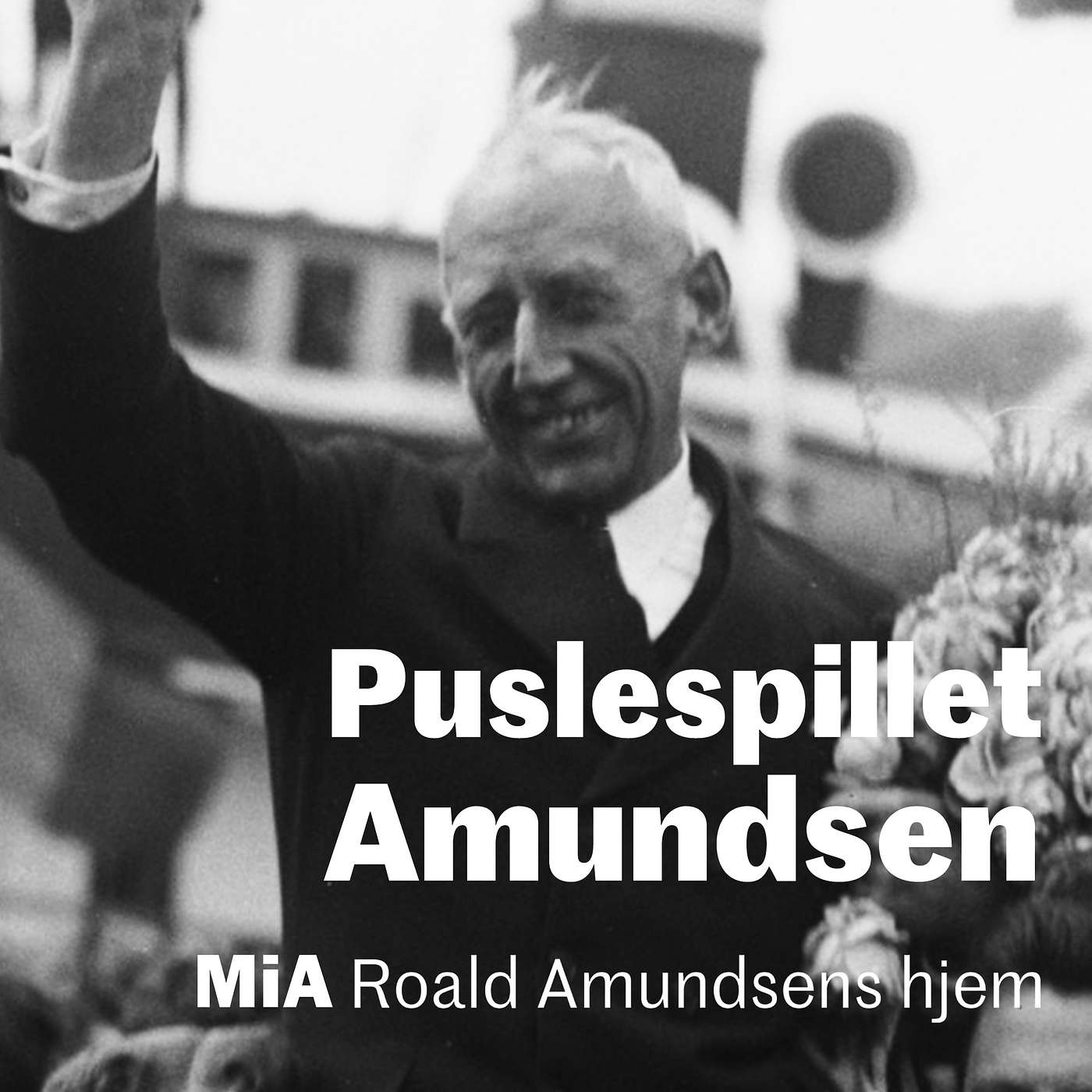 Puslespillet Amundsen