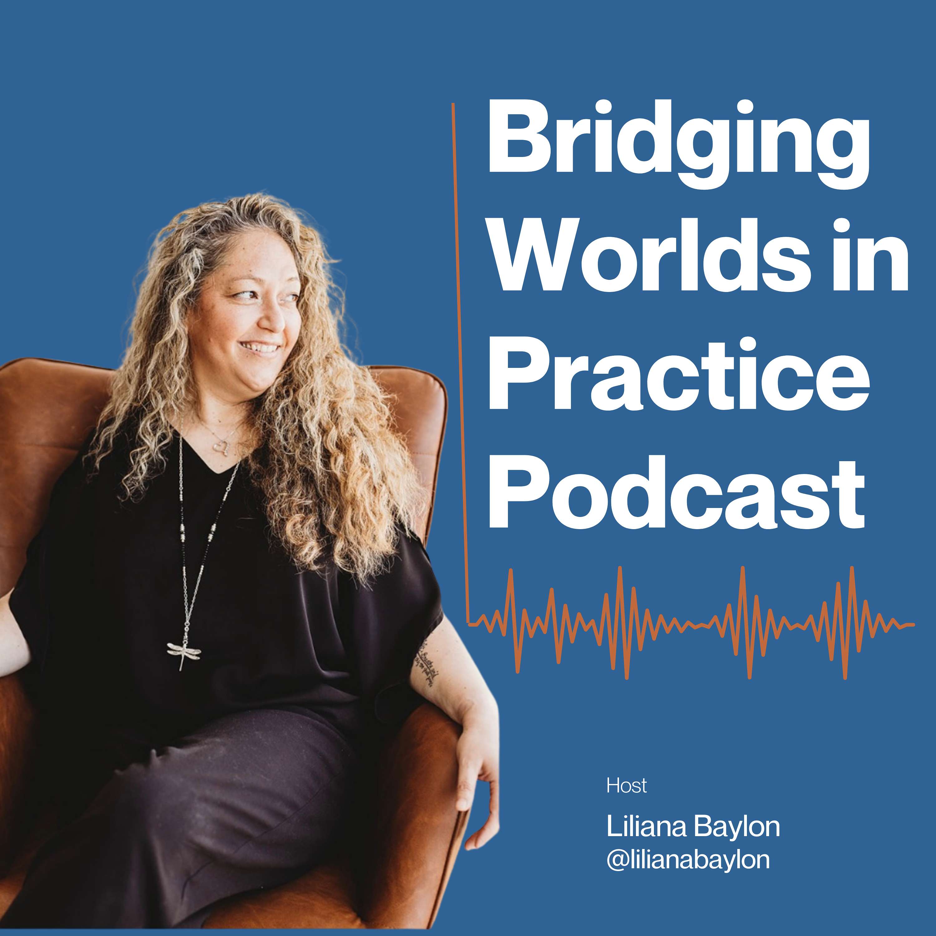 Bridging Worlds in Practice cover art
