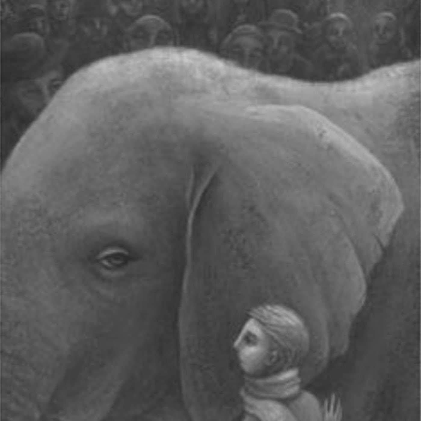 Chapter 12 "The Magician's Elephant" episode artwork