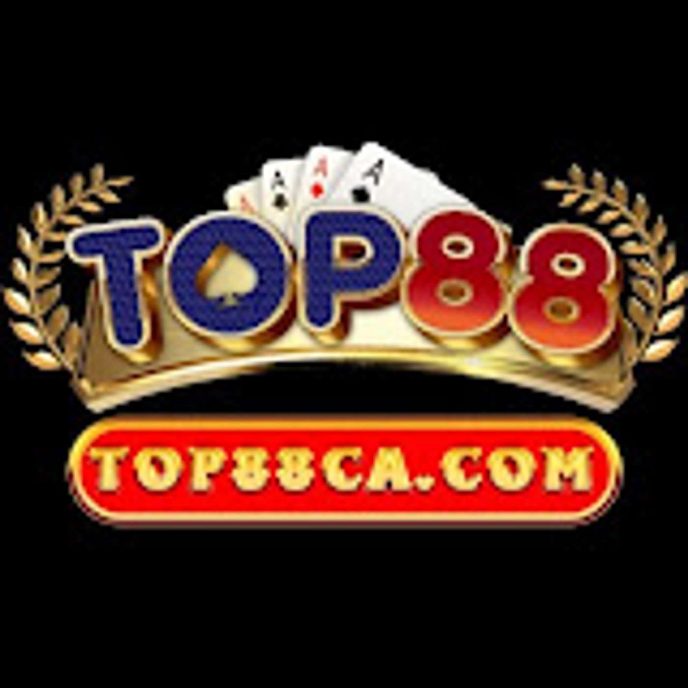 top88zzz