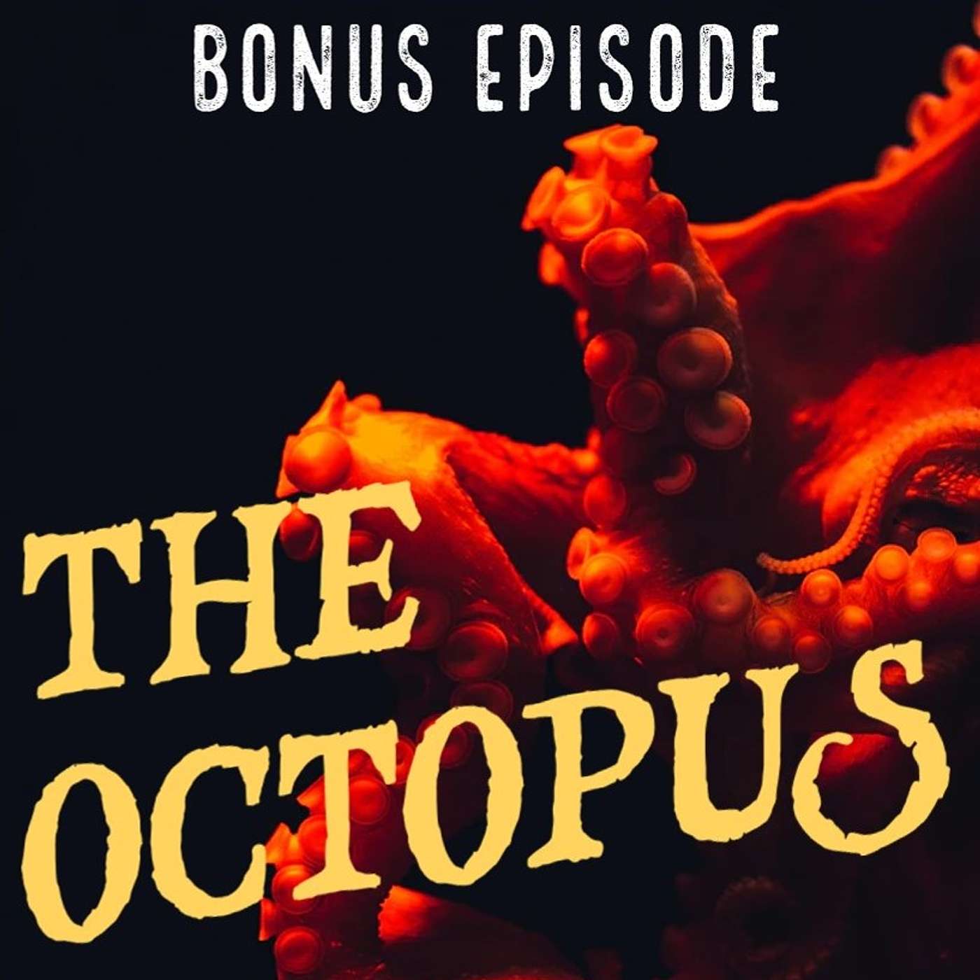 THE OCTOPUS