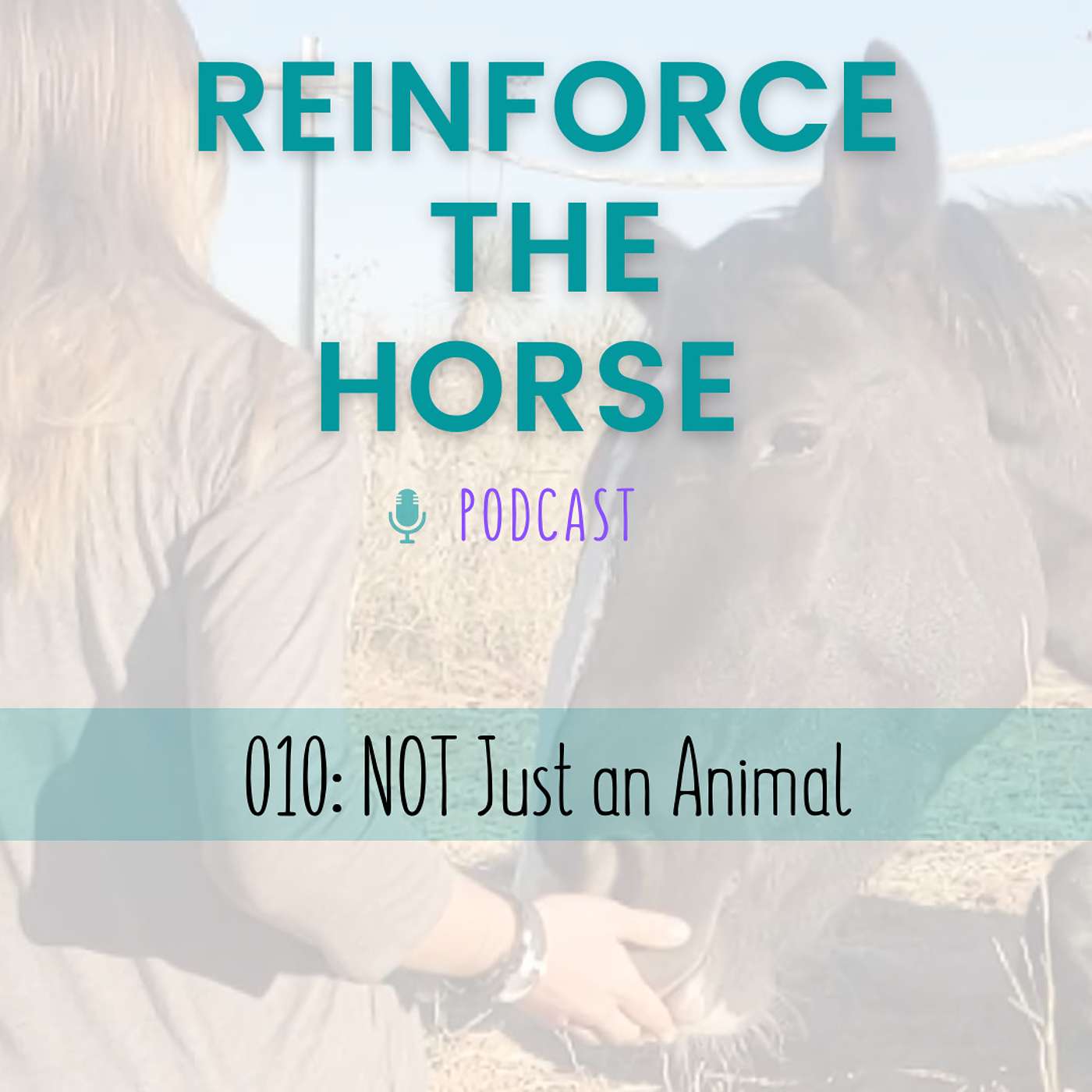 Reinforce the Horse