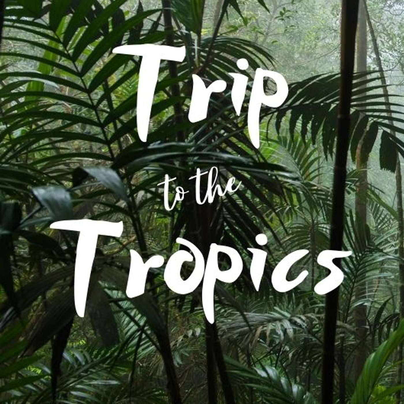 Trip To The Tropics