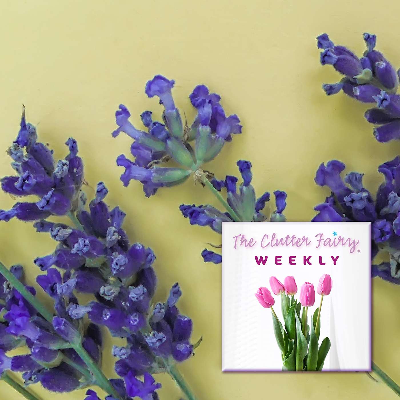 Holding on Tightly or Letting Go Lightly: Clutter and Emotions - The Clutter Fairy Weekly #135