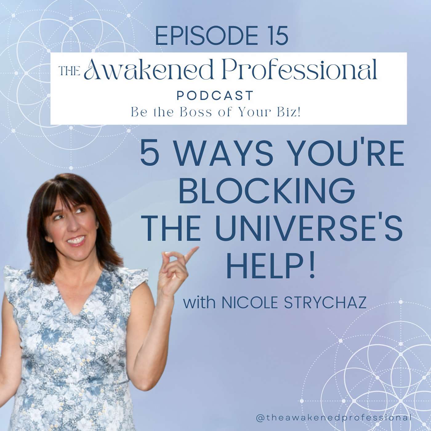 The Awakened Professional