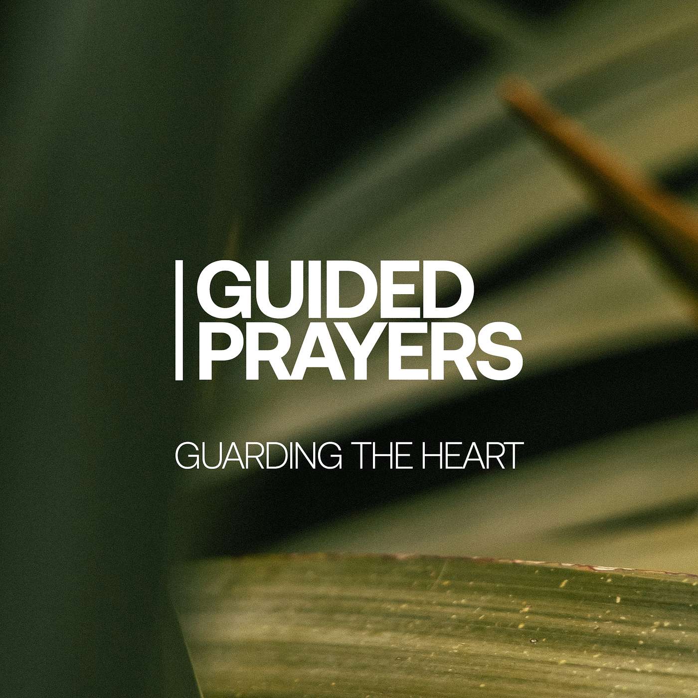 Walking The Steady Path | Guided Prayers