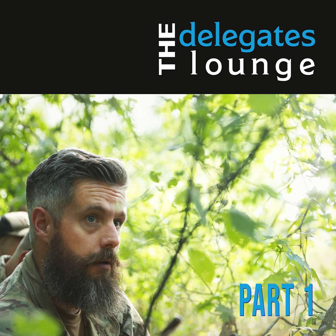 The Delegates Lounge