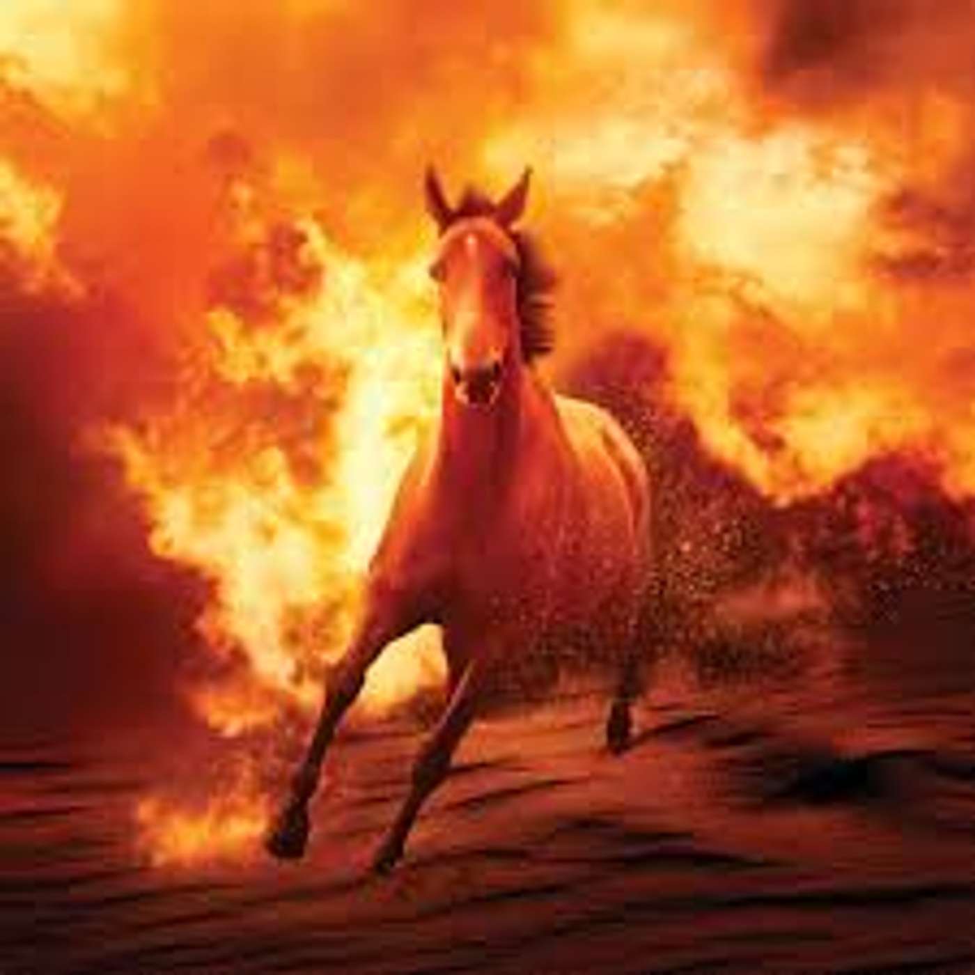 Episode 14 Large Animal Sheltering during California Wildfires and how to join the new Large Animal Response Teams with Garret Leonard