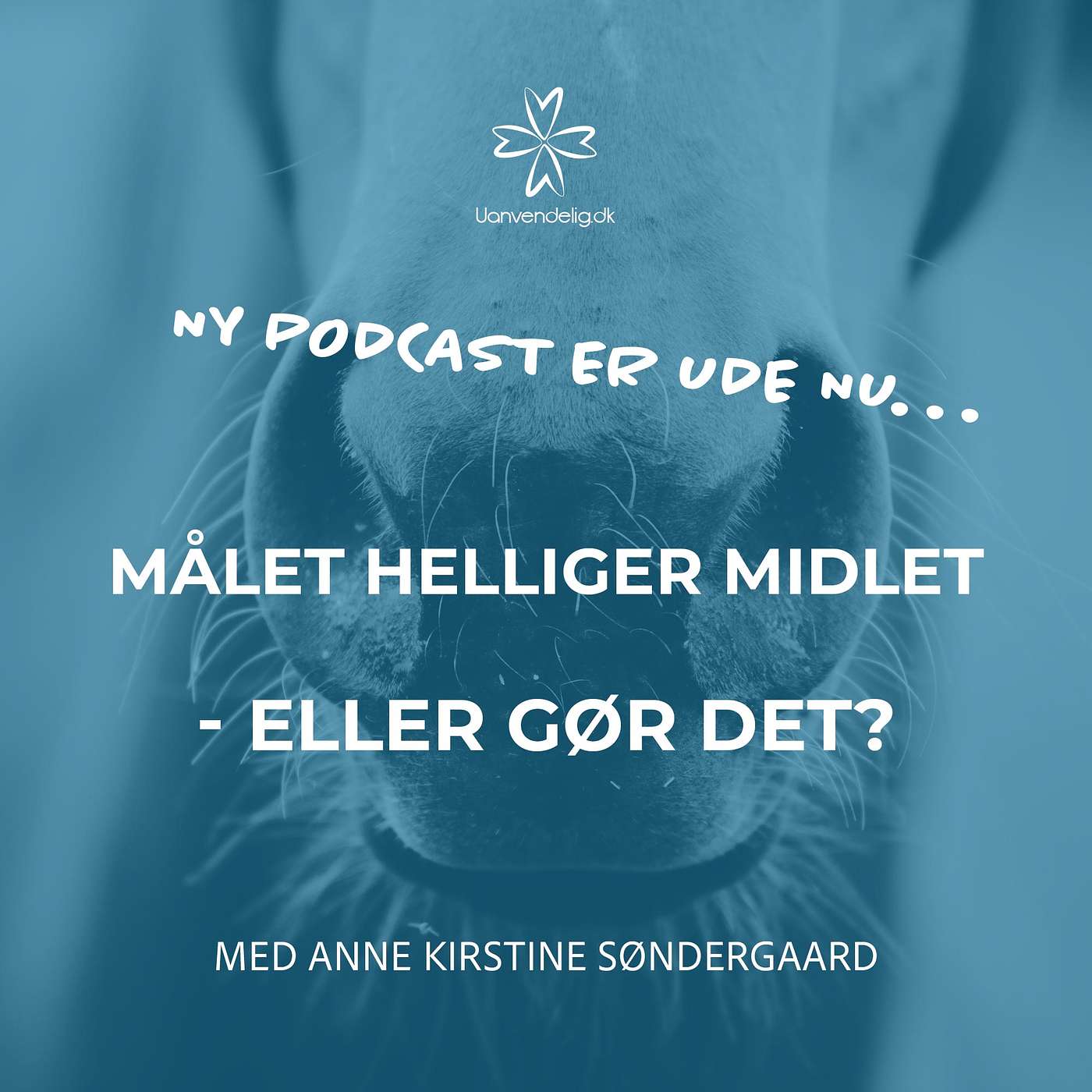 Uanvendelig eller Ridehest
