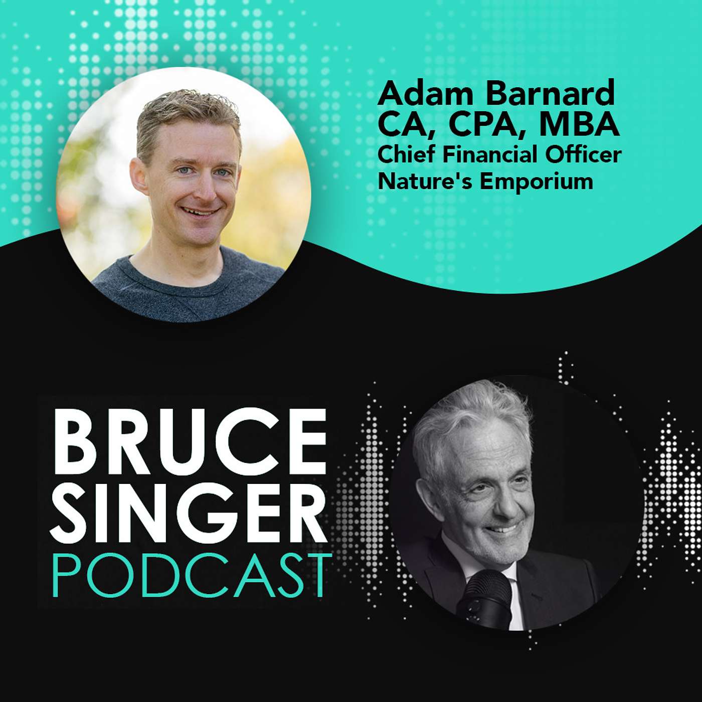 Bruce Singer Podcast