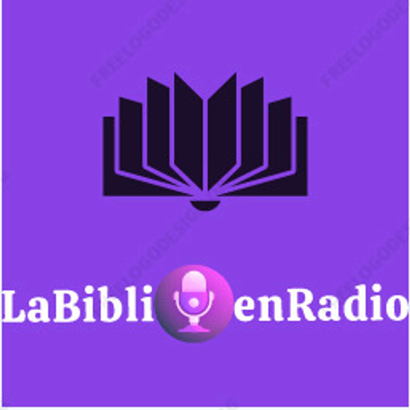 LaBiblioenRadio