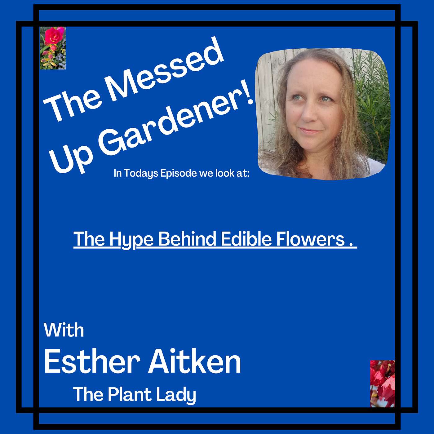 The Messed Up Gardener