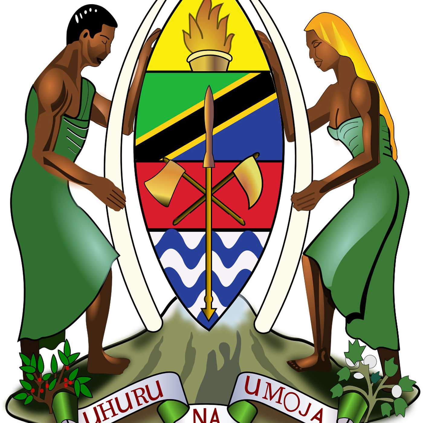 Ikulu Tanzania's Podcast podcast artwork
