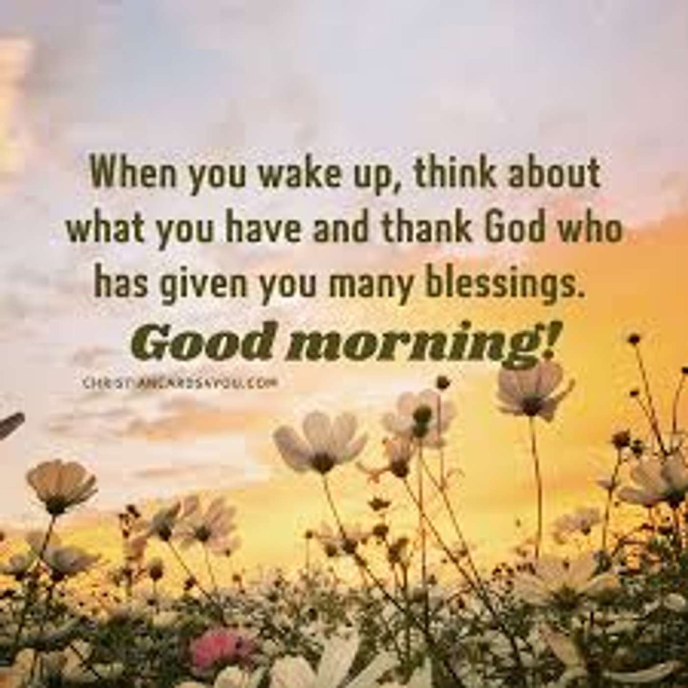 Morning Prayer for Thursday, August 22, 2024 episode artwork