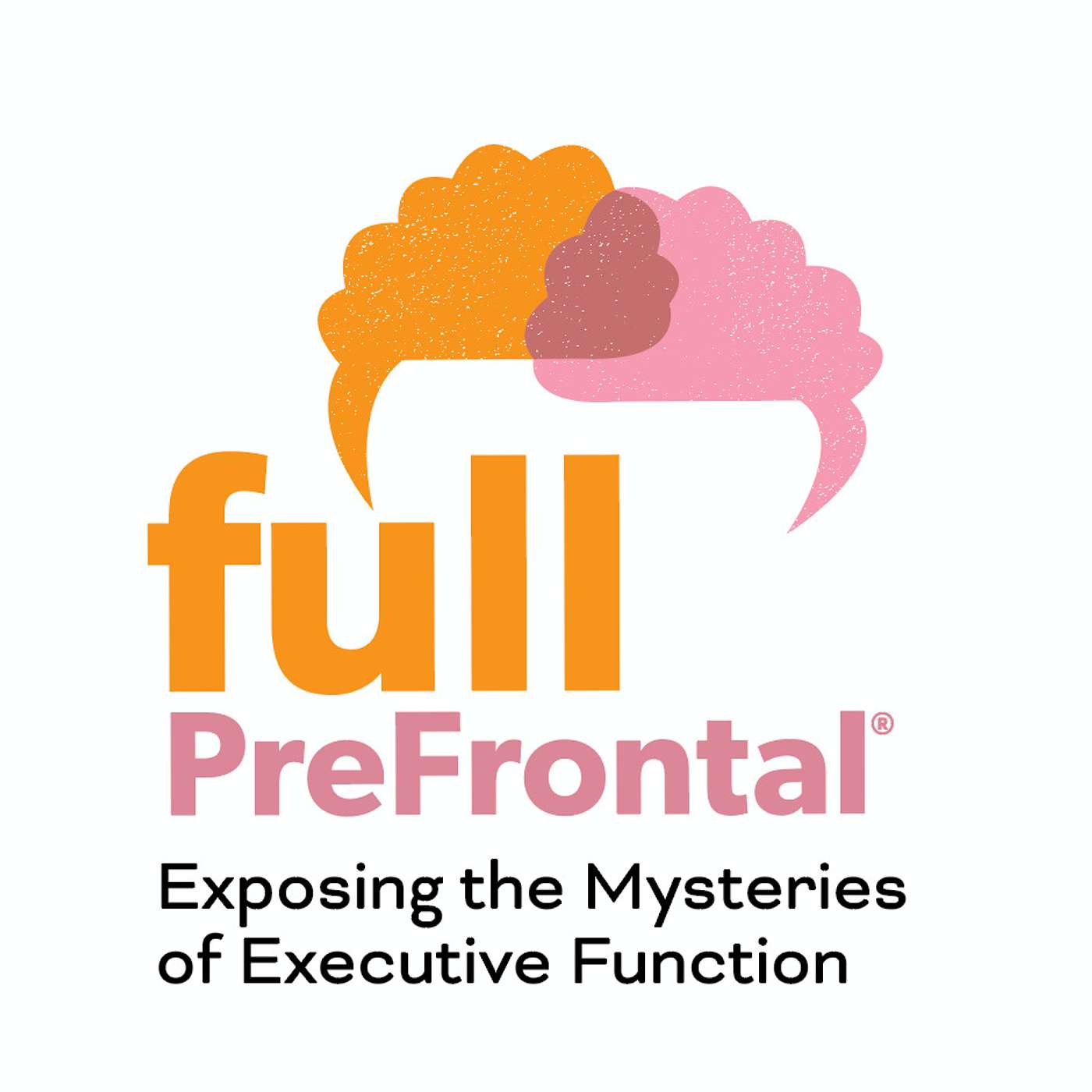 Full PreFrontal: Exposing the Mysteries of Executive Function