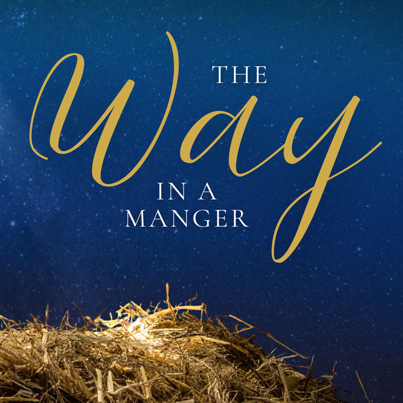Christmas Day 2025 | The Way in a Manger
