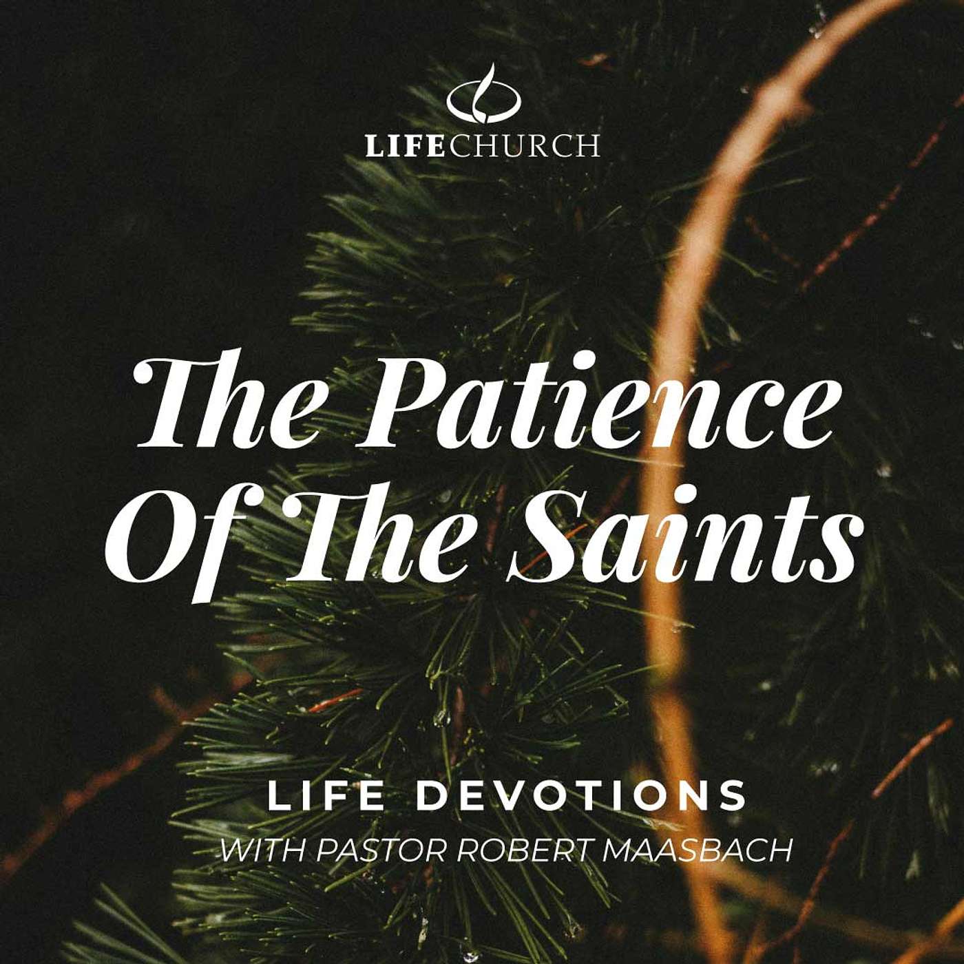 The Patience Of The Saints - 27.12.24