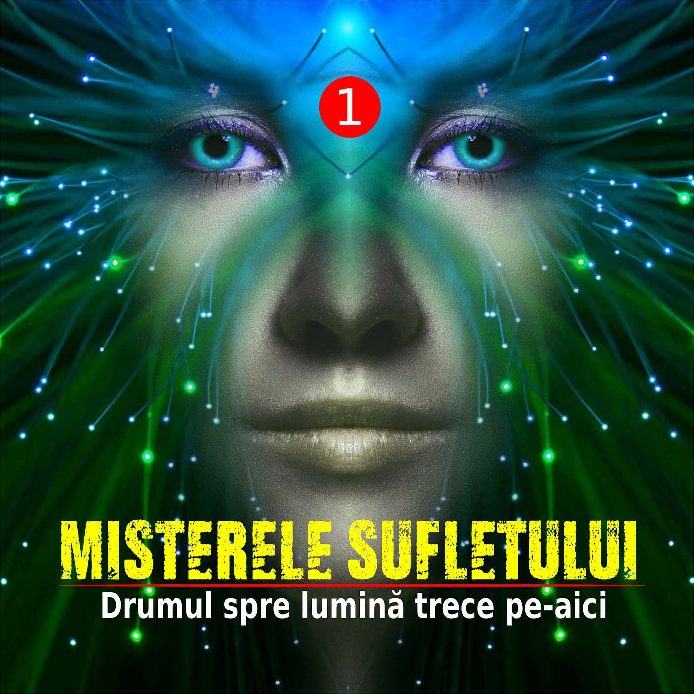 Sursa de Motivație Zilnică