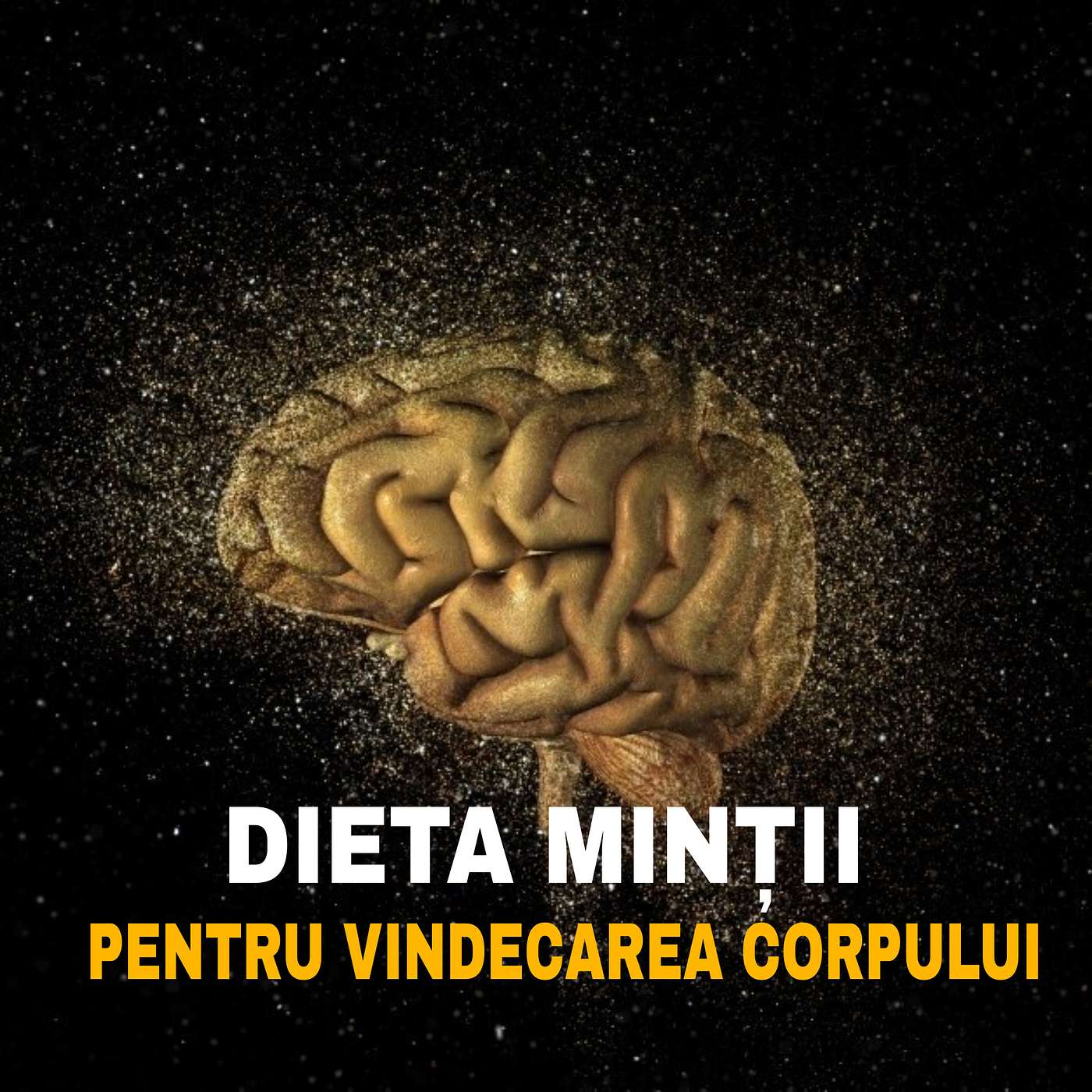 CUM HRĂNIM MINTEA CA SĂ VINDECĂM CORPUL episode artwork