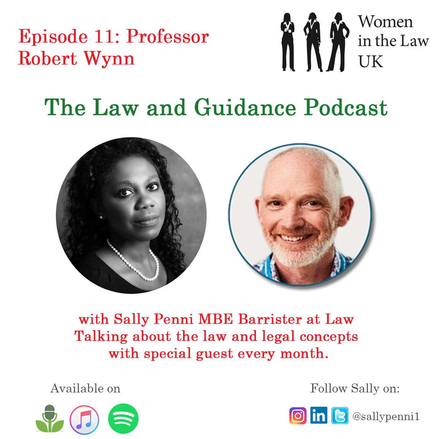 Episode 11: Law and Guidance with Professor Wynn episode artwork