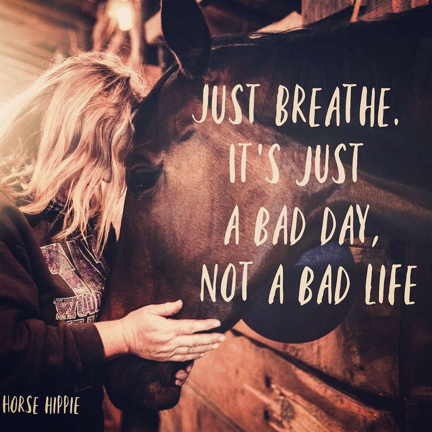 Bad Day, Not a Bad Life episode artwork