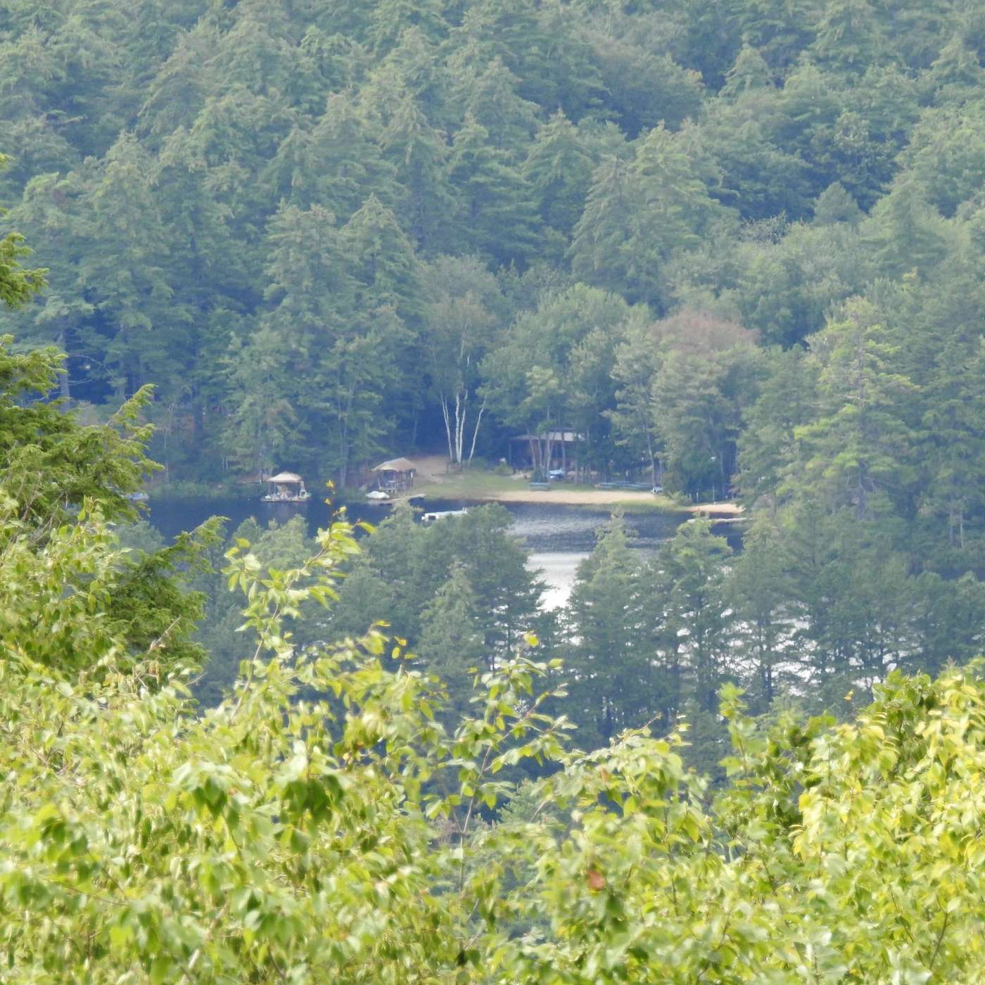 DAVIS POND