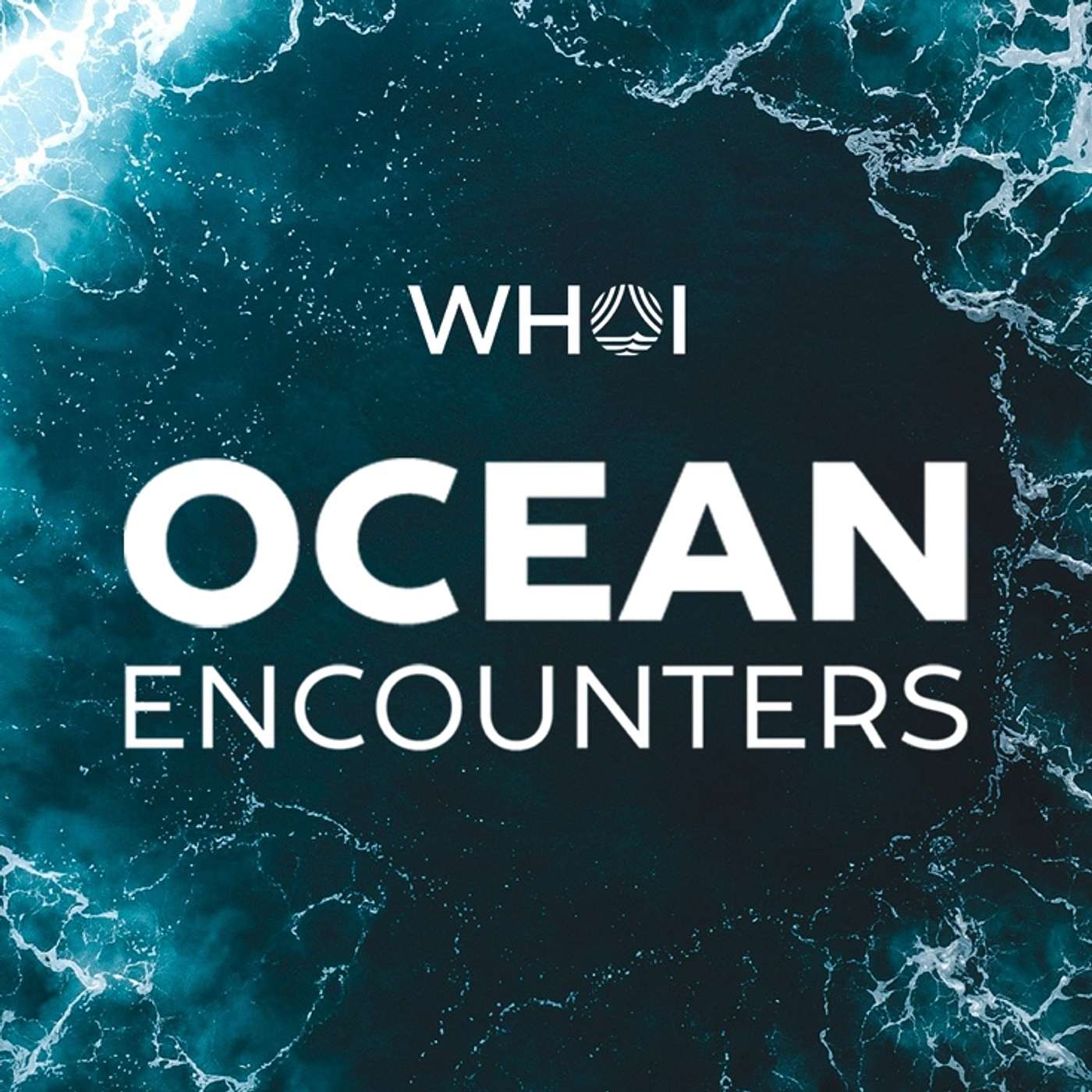 Ocean Encounters