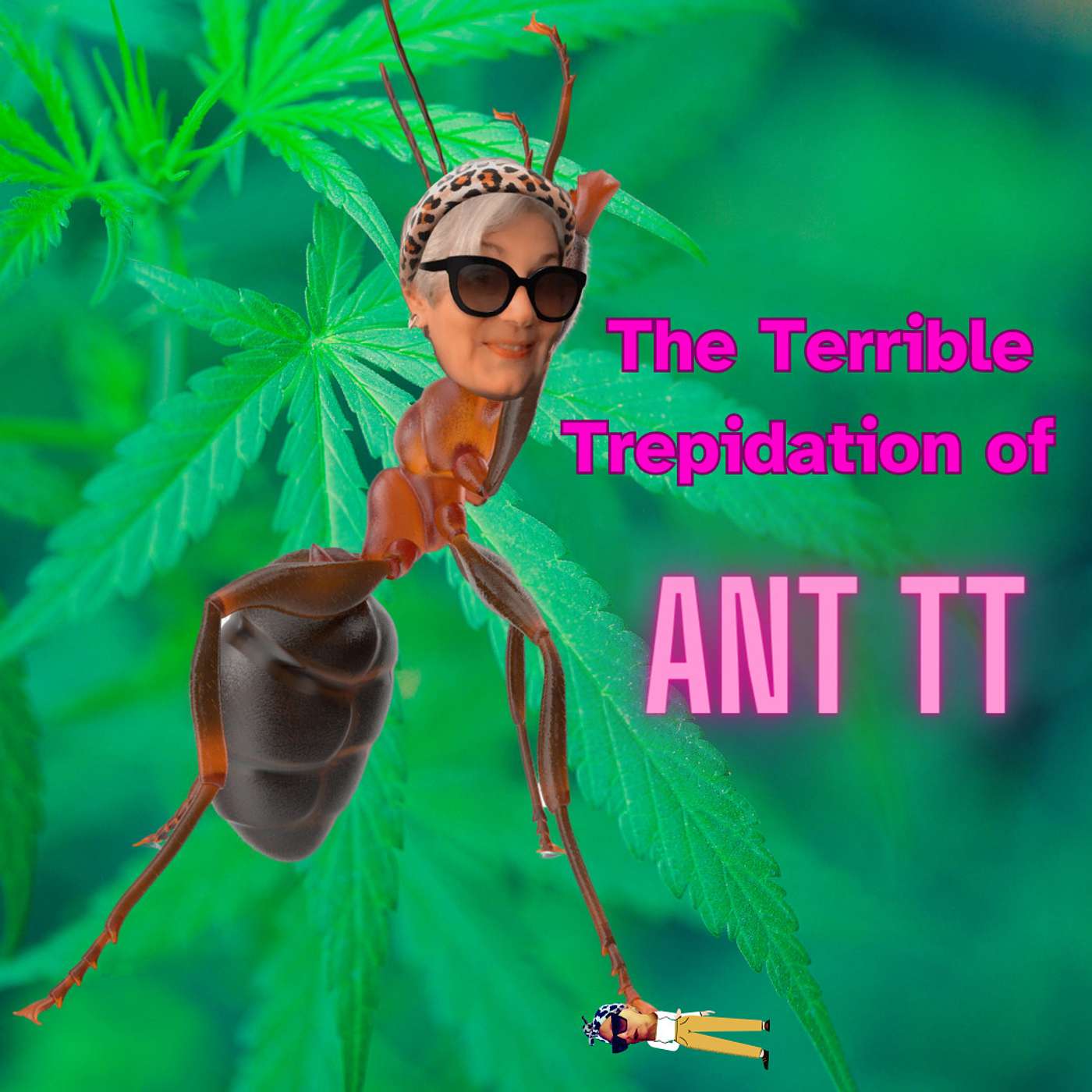 Midlife Cannabis, Confidence & Real Talk for Women | The Terrible Trepidation of Ant TT episode artwork