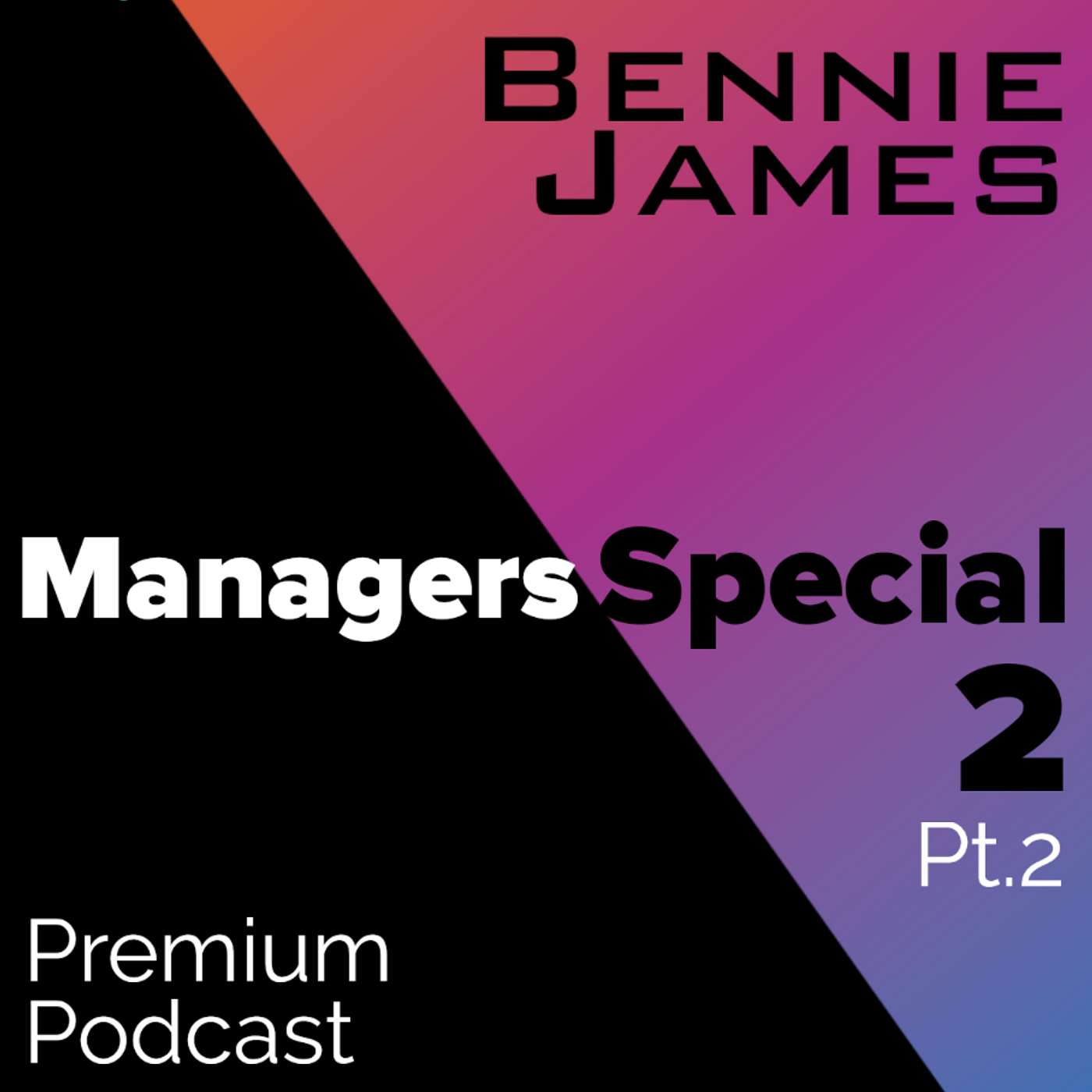 Managers Special 2 pt.2 (Premium)