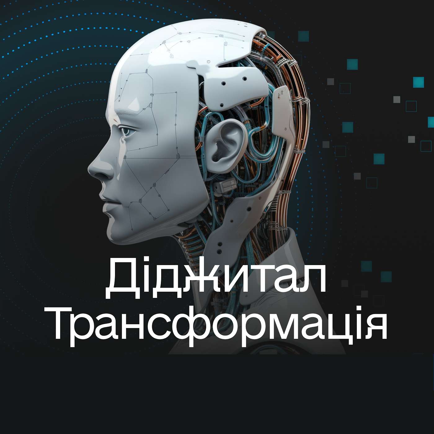 Діджитал Трансформація podcast artwork