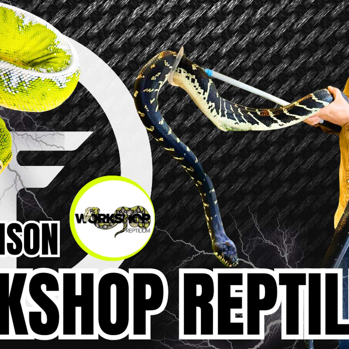 Bigger The Reptile Enclosure, The Better! | Trap Talk With MJ (Live)